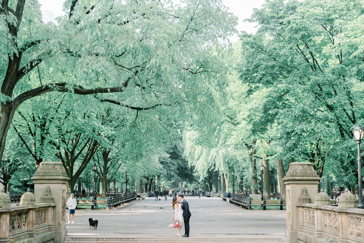 Central Park NY Wedding Anniversary