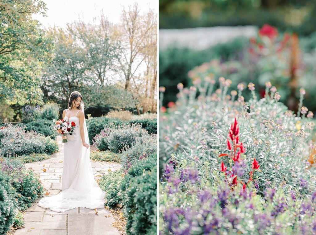 Bride and Groom Portraits at Greenville Country Club