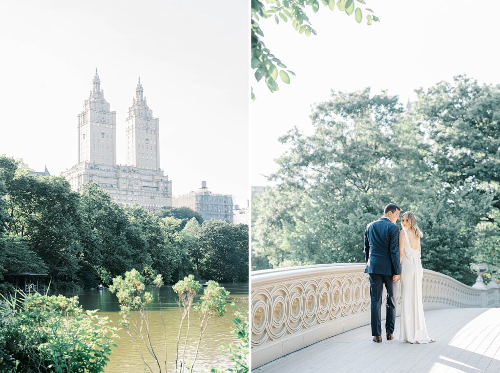 Central Park New York Engagement