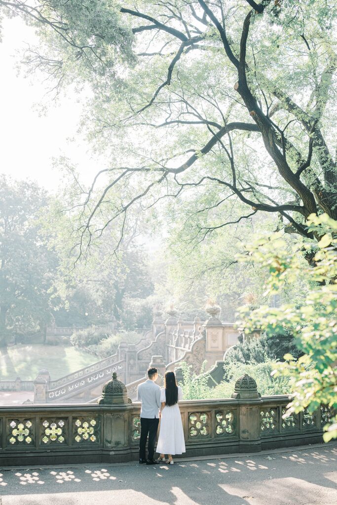 Central Park New York Engagement