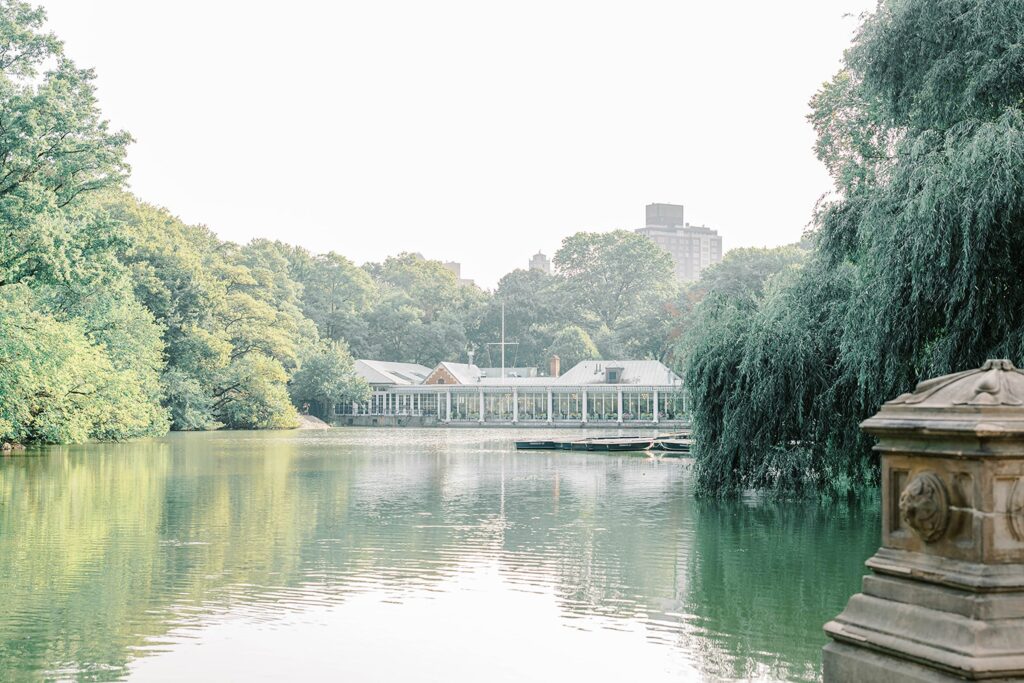 Central Park New York Engagement