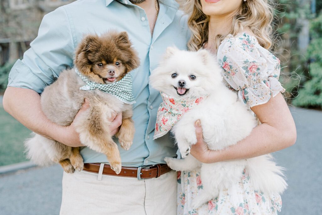 Skylands Manor Engagement Photos