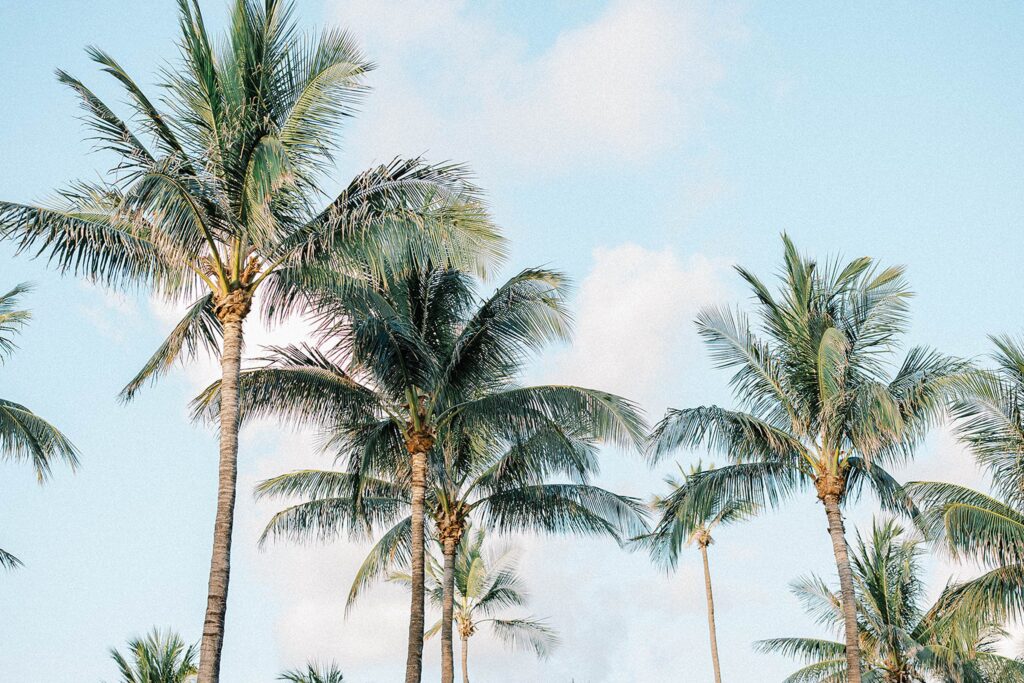 Miami Florida Engagement Photos