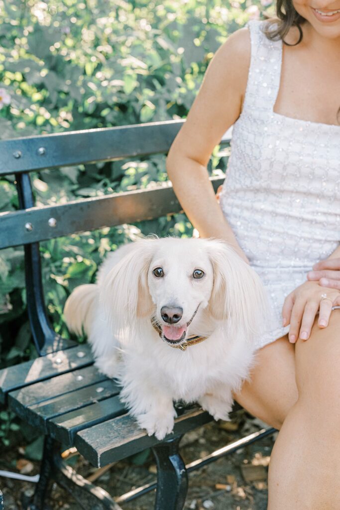 Central Park New York City Summer Engagement Photos